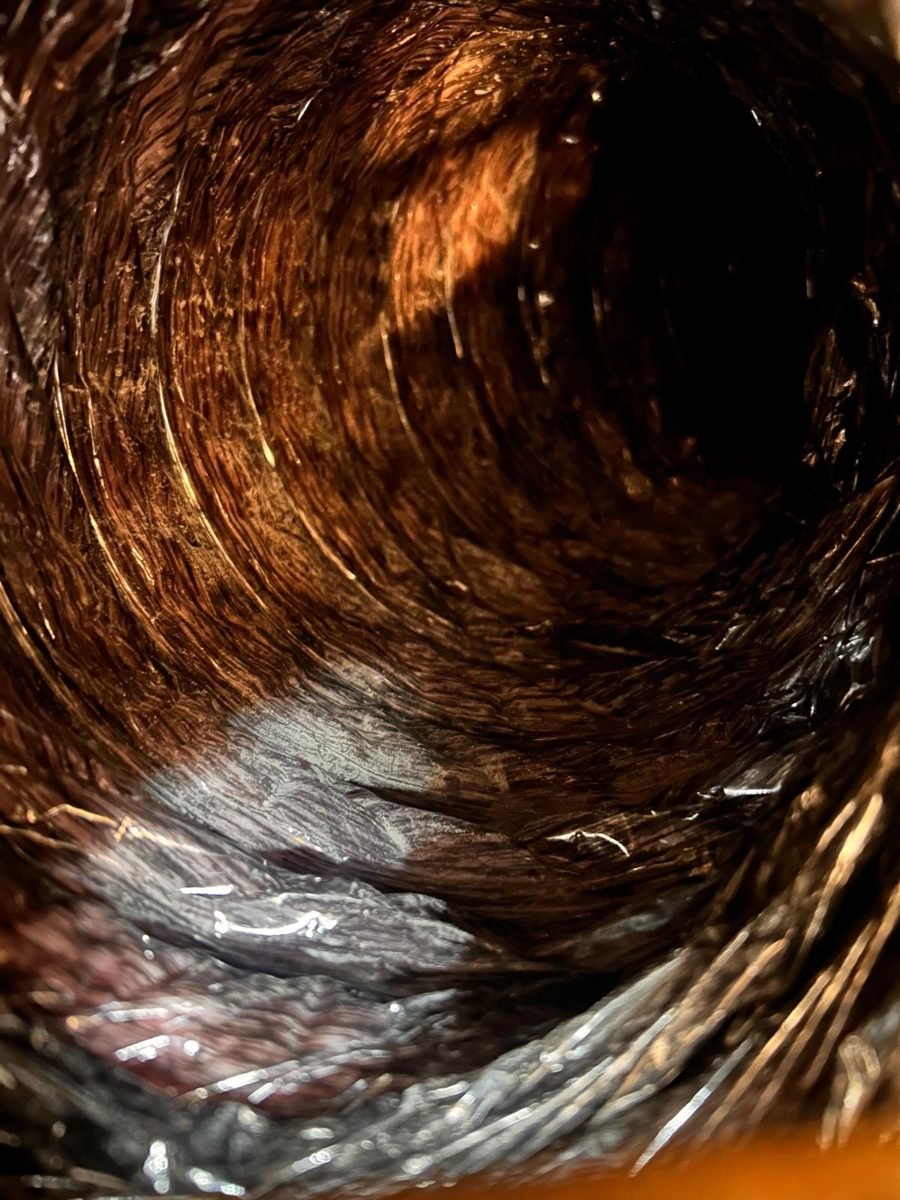Inside of a dusty flex air duct before cleaning